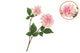 Silk Dahlia 2x Light Pink Real Touch 60cm Nm