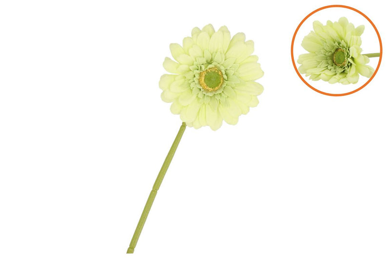 Silk Gerbera Light Green 72cm