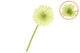 Silk Gerbera Light Green 72cm