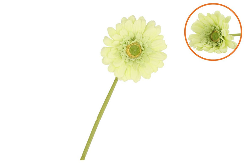 Silk Gerbera Light Green 72cm Nm