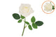 Silk Open Rose White Real Touch 43cm