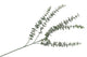 Silk Eucalyptus Green 77cm