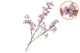 Silk Berry Spice Light Purple 108cm Nm