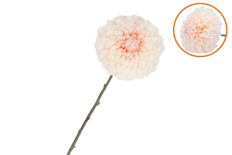 Silk Dahlia Bold Champagne 68cm