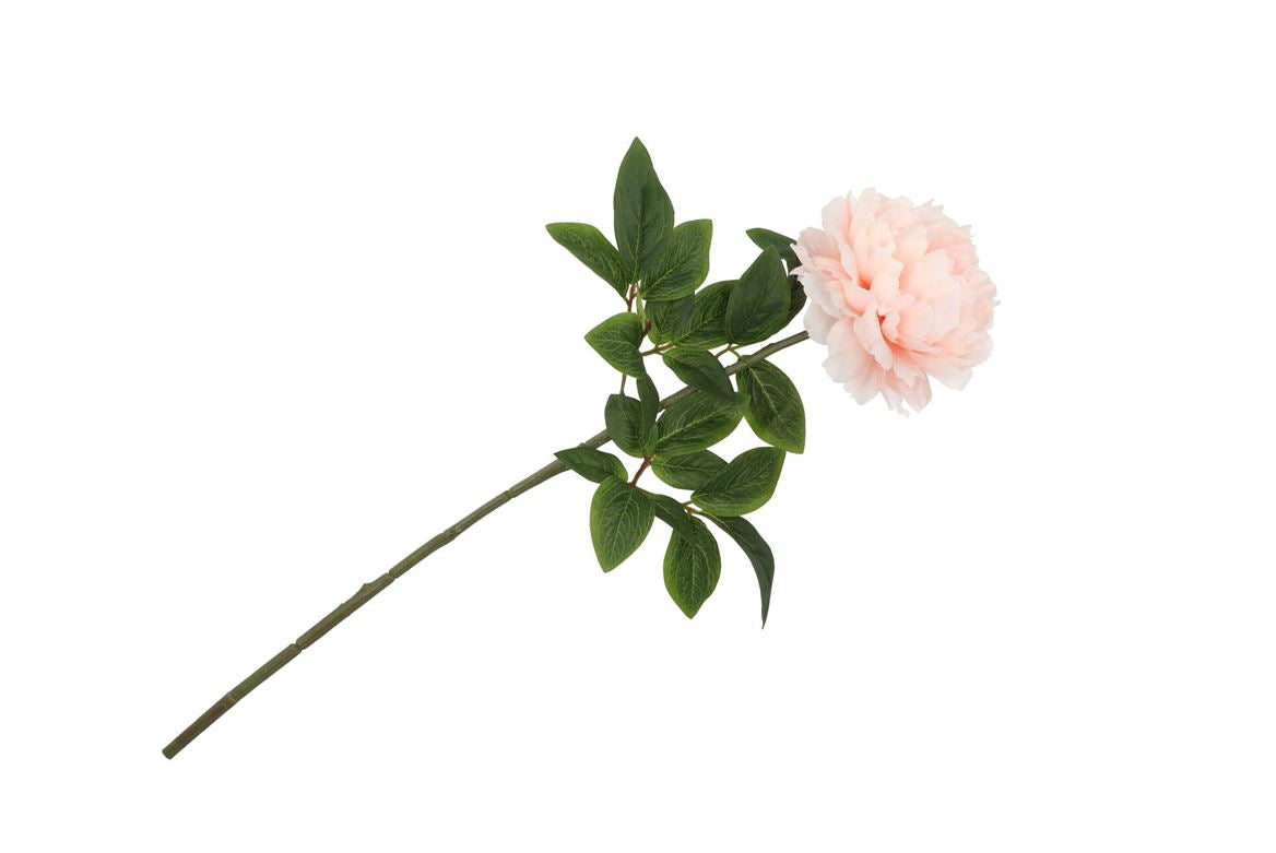 Silk Peony Soft Pink 68cm Nm