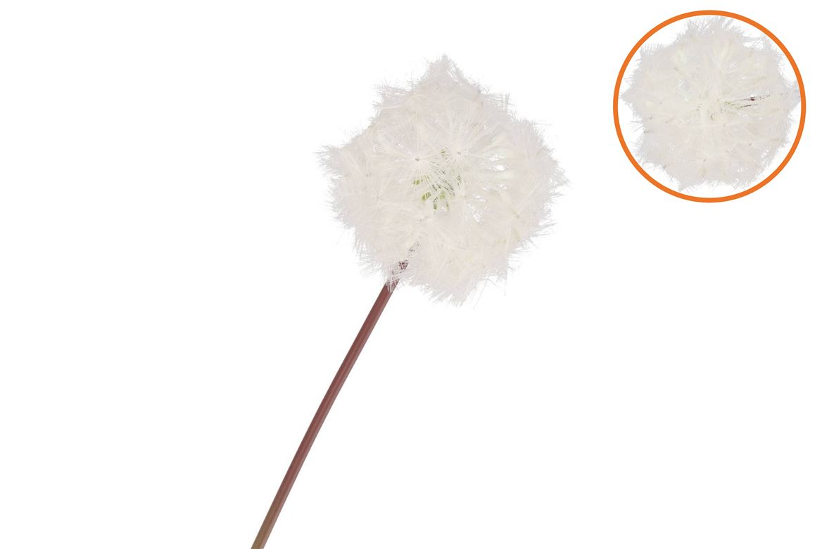 Silk Dandelion White 65cm Nm