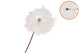Silk Dandelion White 91cm Nm