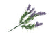 Silk Lavender Lilac 33cm Nm