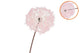 Silk Dandelion Pink 91cm