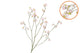Silk Buttercups Light Pink 100cm Nm