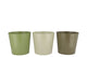 Zinc Summer Green Mix Bucket Striped Ass 17x16x13c