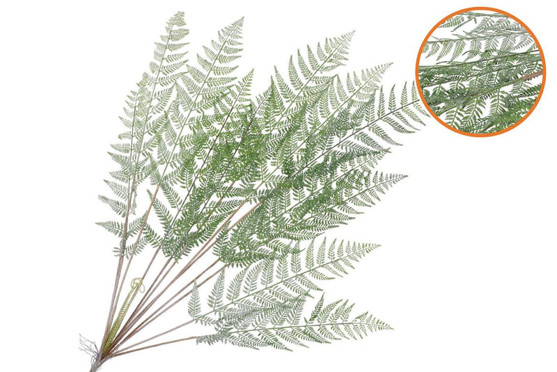 Silk Fern Cibotium Green Snowy 133cm Nm