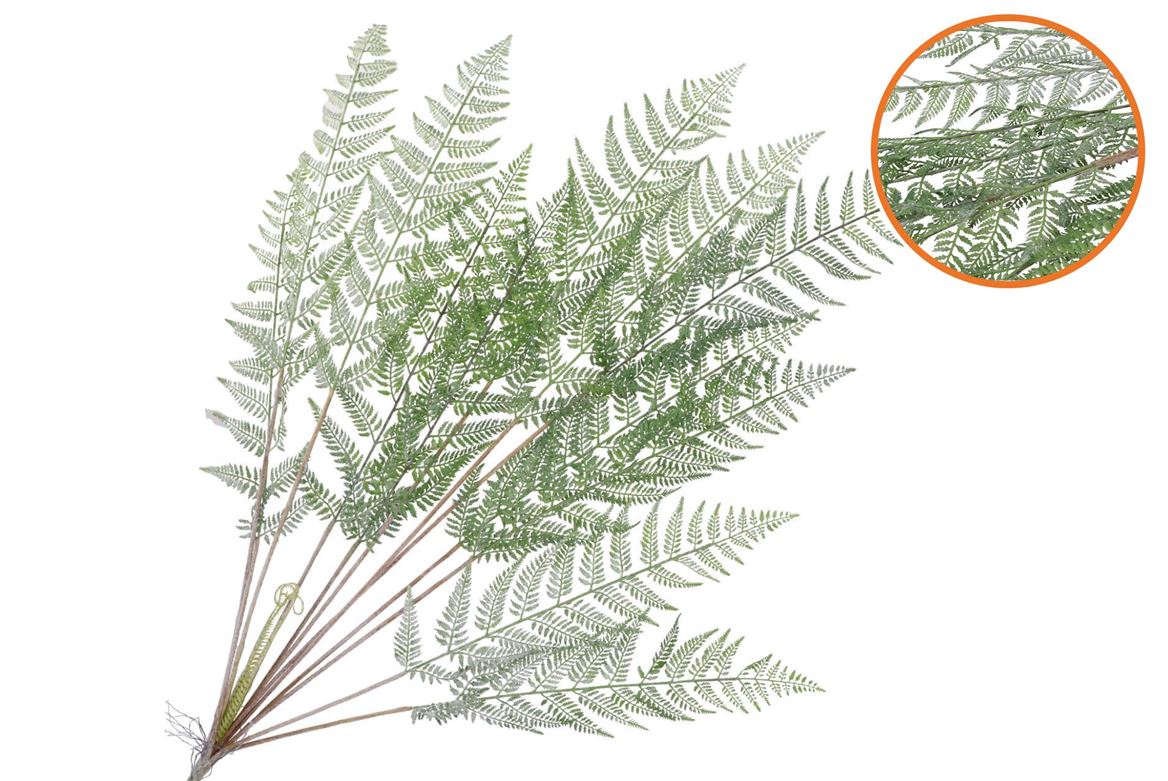 Silk Fern Cibotium Green Snowy 133cm Nm