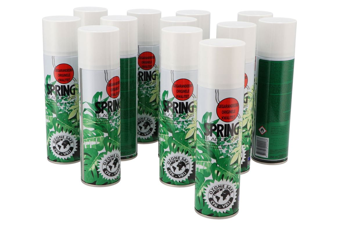 Floristry Leaf Gloss 250ml P/12