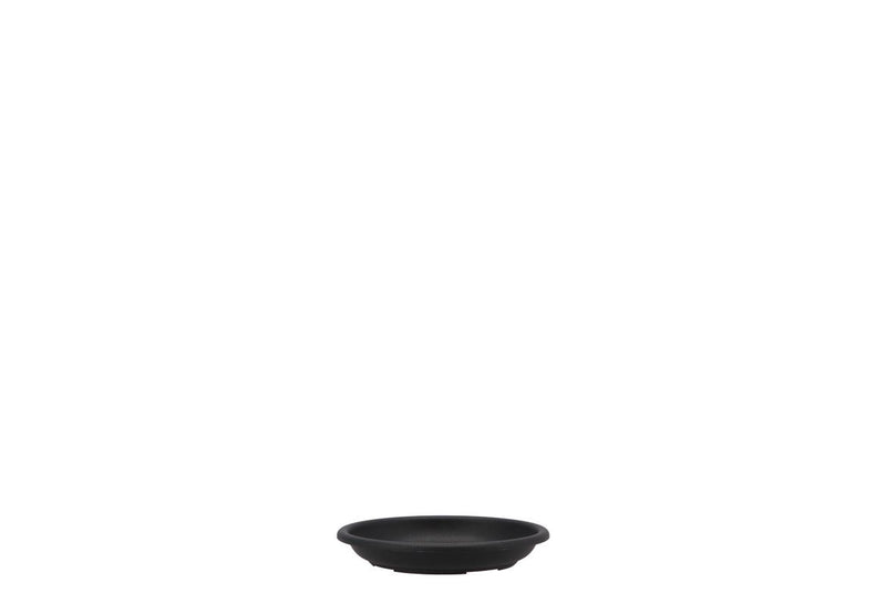 Floristry Plate 12cm P/10 Black