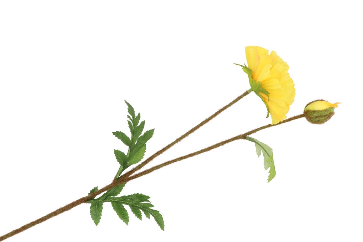 Silk Papaver Branche Jaune L64cm