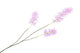 Silk Wisteria Light Purple 93cm Nm