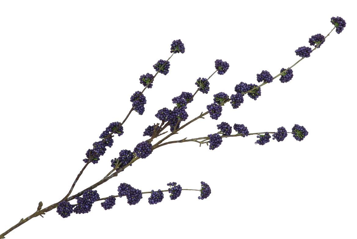 Silk Berry Callicarpa Blue 130cm Nm