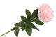 Silk Peony Tak Light Pink 71cm