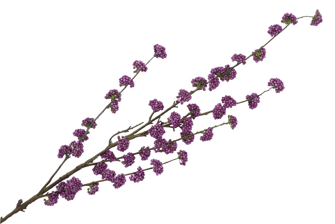 Silk Berry Callicarpa Dark Purple 130cm