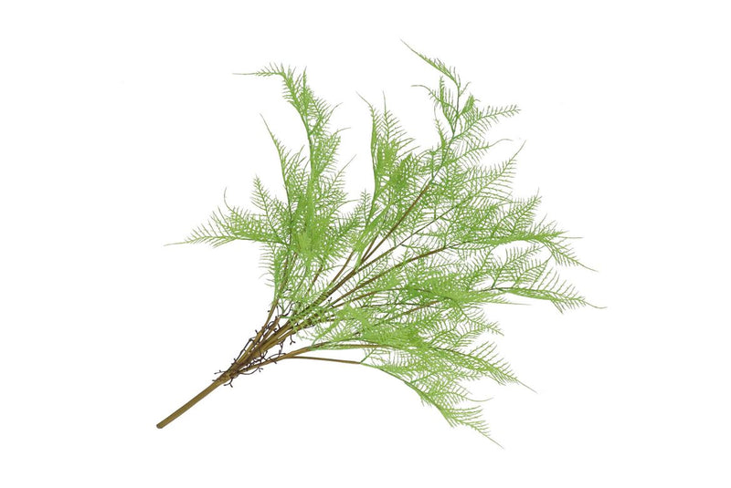 Silk Fern Asparagus Light Green 77cm