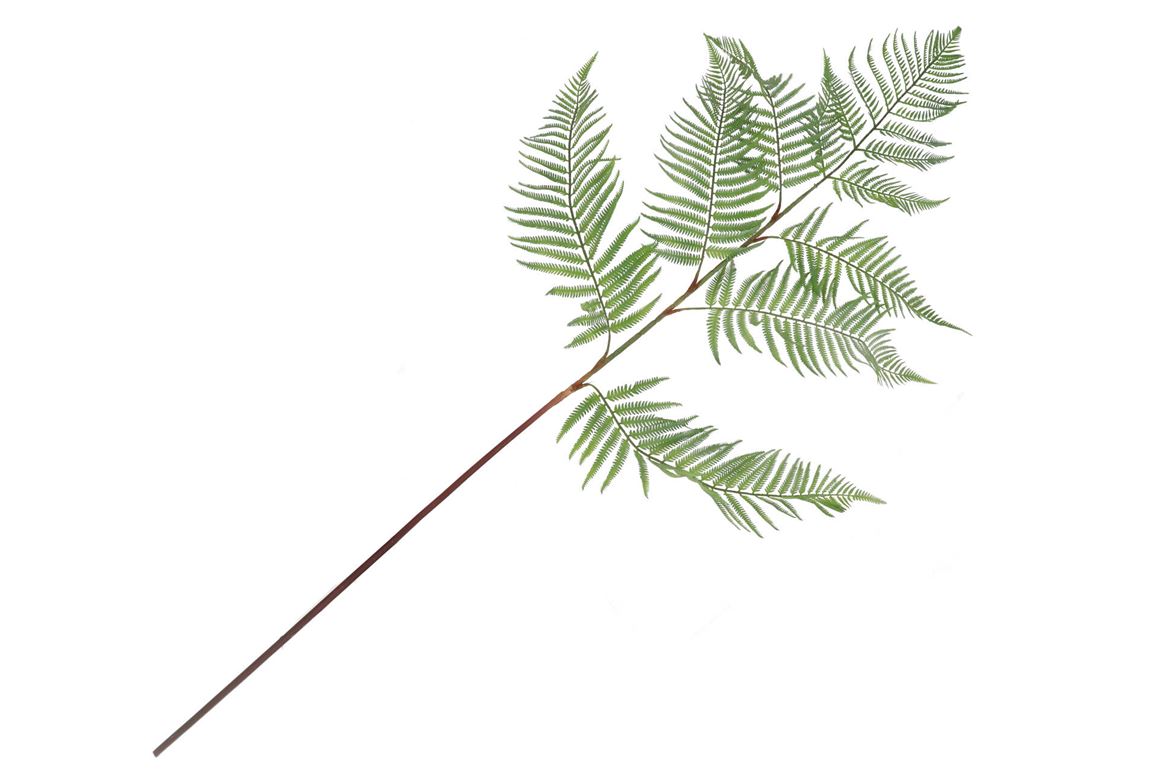 Silk Fern Polystichum Green 138cm