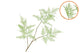 Silk Fern Asparagus Light Green 87cm