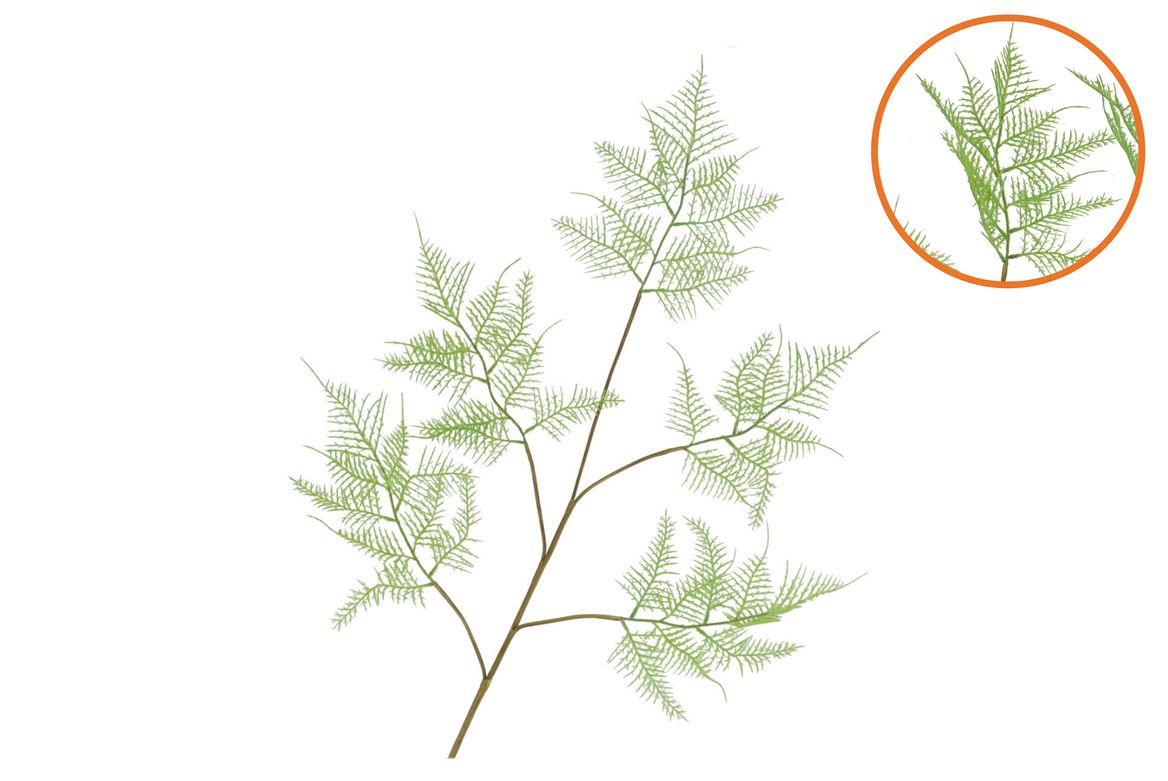 Silk Fern Asparagus Light Green 107cm Nm