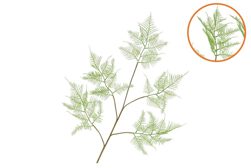 Silk Fern Asparagus Light Green 107cm Nm