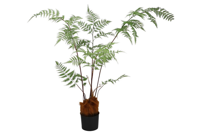 Silk Fern Polystichum Bakerianum In Pot Green 158c