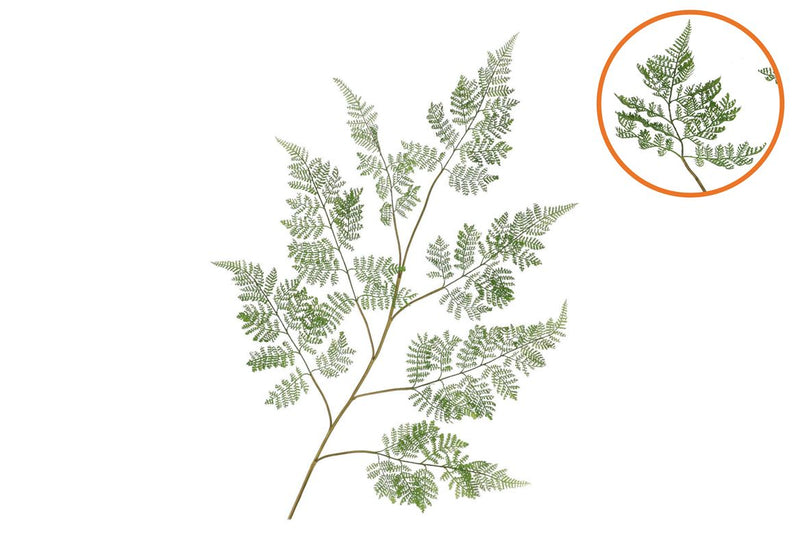 Silk Fern Forest Green 138cm Nm