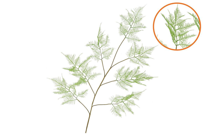 Silk Fern Asparagus Light Green 138cm Nm