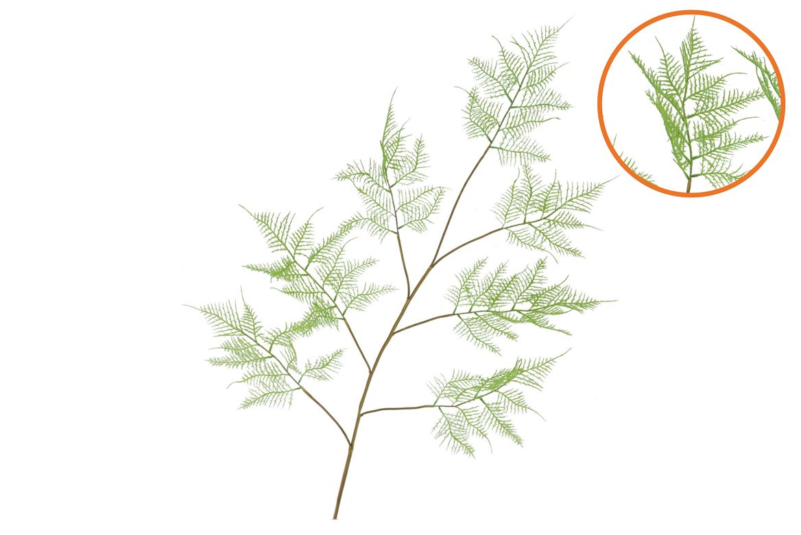 Silk Fern Asparagus Light Green 138cm Nm