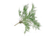 Silk Fern Asparagus Plant Dark Green 77cm Nm