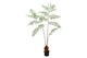 Silk Fern Polystichum In Pot Green 158cm