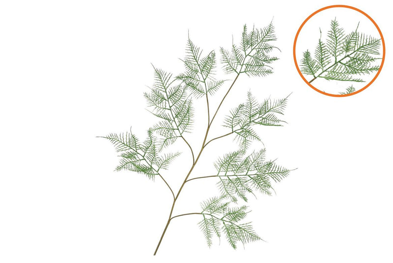 Silk Fern Asparagus Dark Green 138cm Nm