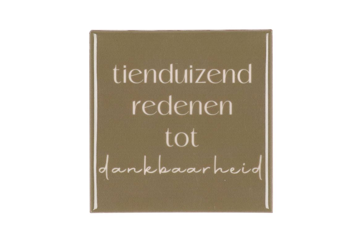 Tile Tienduizend Brown 10x10x1cm