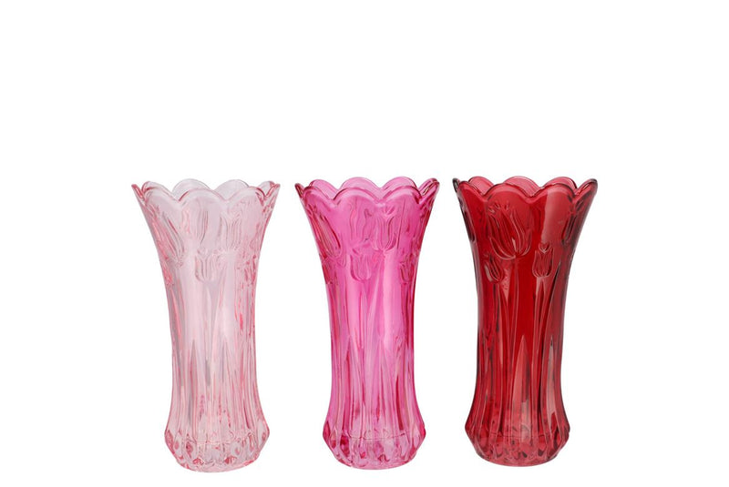 Delight Dutch Pink Mix Vase Tulip Ass 11x20cm