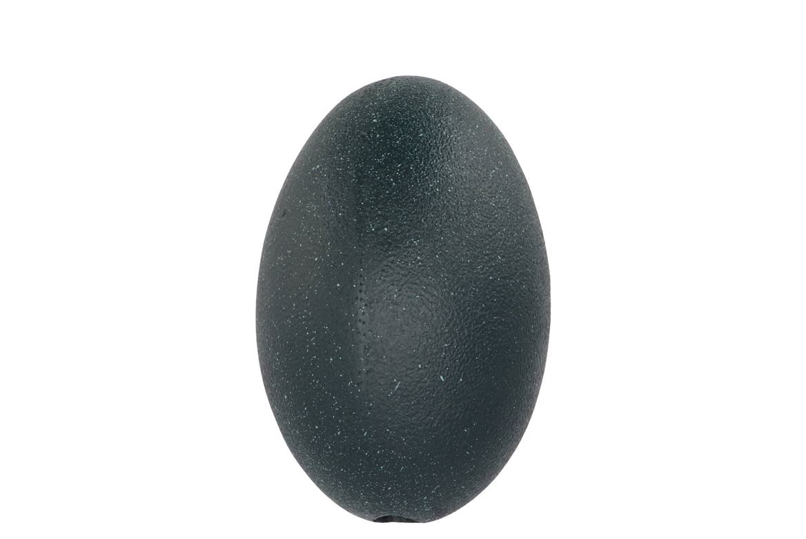 Eggs Emu Vogel Black P/1