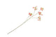 Silk Gloriosa Beauty 105cm