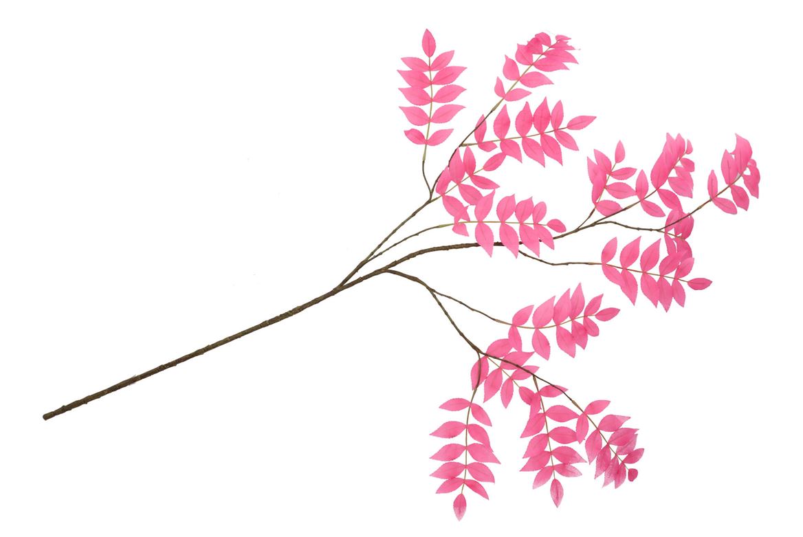 Silk Salix Leaf Beauty 135cm Nm
