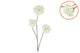 Silk Hydrangea X3 White 85cm Nm