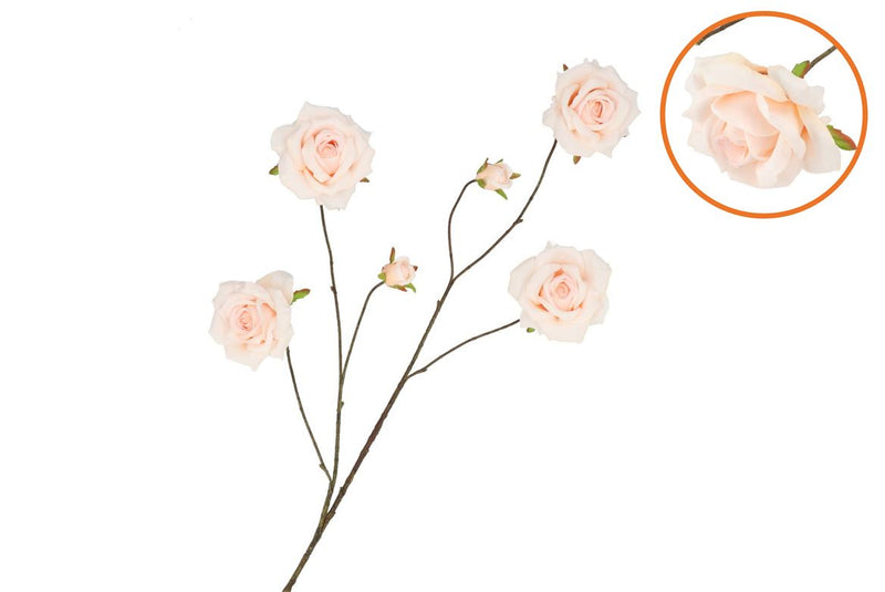 Silk Roses Wild Peach 126cm Nm