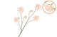 Silk Roses Wild Peach 126cm Nm