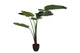 Silk Strelitzia Green 159cm