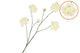 Silk Roses Wild White 126cm Nm