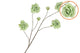 Silk Roses Wild Green 126cm Nm
