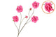 Silk Roses Wild Fuchsia 126cm Nm