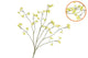 Silk Buttercups Yellow 100cm Nm