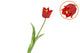 Silk Tulip Single Red 48cm